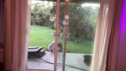 Snapshot of kaileeshy chatting on January 2025 03:46:01 AM Kailee Smile online show from January 2025 03:46:01 AM