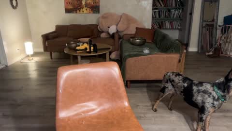 Kailee Smile online show from March 2026 04:53:02 AM