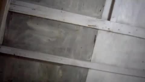 kakaroto30102 online show from February 2025 08:09:01 AM