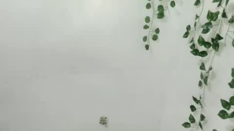 Chenny online show from December 2025 06:01:02 PM