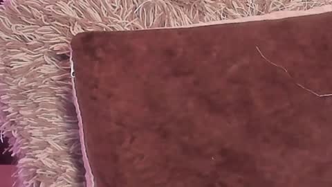 KaliMonroe online show from December 2024 05:22:02 PM