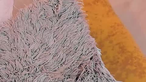 KaliMonroe online show from January 2025 05:13:01 PM