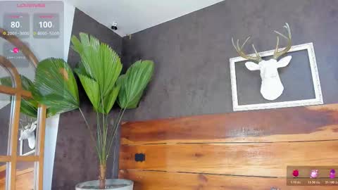   online show from February 2026 03:03:02 AM