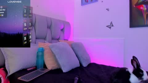 Karin    online show from February 2025 08:33:02 AM