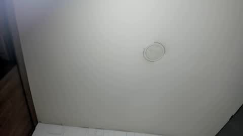 Snapshot of karina_aurora chatting on April 2026 06:30:02 AM karina_aurora online show from April 2026 06:30:02 AM