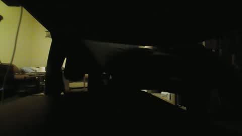 Snapshot of kaskaderns chatting on January 2025 09:50:01 PM Stojko online show from January 2025 09:50:01 PM