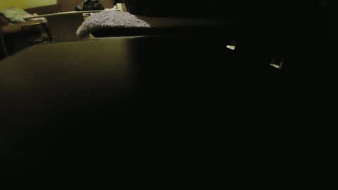 Snapshot of kaskaderns chatting on February 2025 09:05:02 PM Stojko online show from February 2025 09:05:02 PM