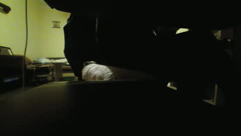 Snapshot of kaskaderns chatting on October 2025 08:09:02 PM Stojko online show from October 2025 08:09:02 PM