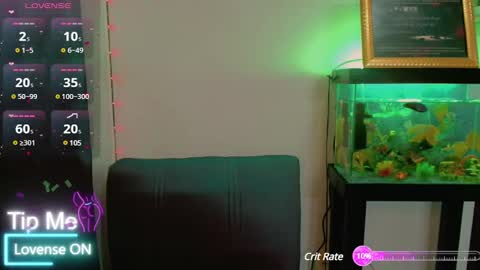 KATY online show from February 2025 05:55:01 AM