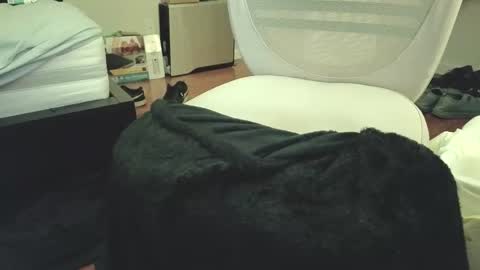 Snapshot of kayishard chatting on February 2025 06:01:01 AM KayisHard online show from February 2025 06:01:01 AM