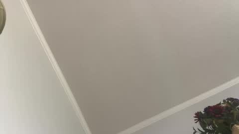 kcdad0001 online show from February 2025 03:59:02 PM