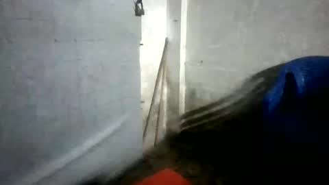 ken92vn online show from May 2026 01:51:02 PM