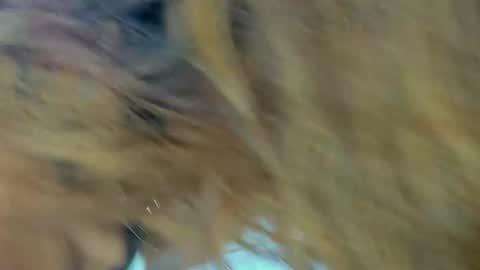 Snapshot of kendalstallyon chatting on November 2025 09:28:01 PM Kendal online show from November 2025 09:28:01 PM