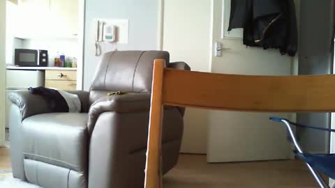 Daddyo online show from April 2026 11:26:01 AM