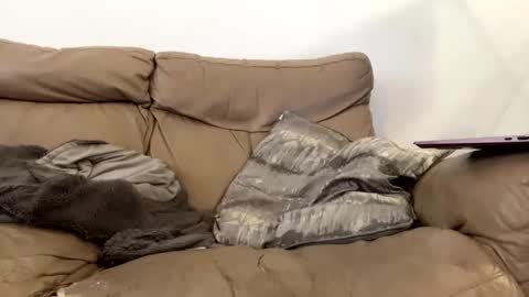 kevfromchat online show from January 2025 01:31:01 PM