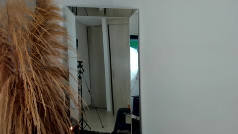 sebastian online show from December 2024 02:09:01 AM