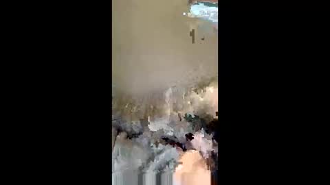 Snapshot of kevo495434 chatting on April 2026 08:14:02 PM kevo495434 online show from April 2026 08:14:02 PM