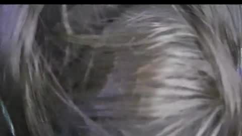 Keyla online show from January 2026 04:00:02 PM