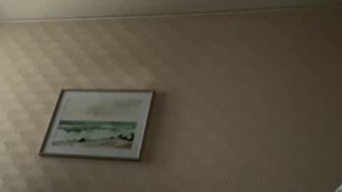 khelt online show from February 2026 01:47:01 PM