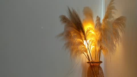 Snapshot of kim_murphy chatting on December 2024 12:36:01 PM Kim Murphy online show from December 2024 12:36:01 PM