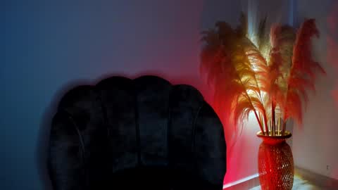 Snapshot of kim_murphy chatting on January 2025 12:41:01 PM Kim Murphy online show from January 2025 12:41:01 PM