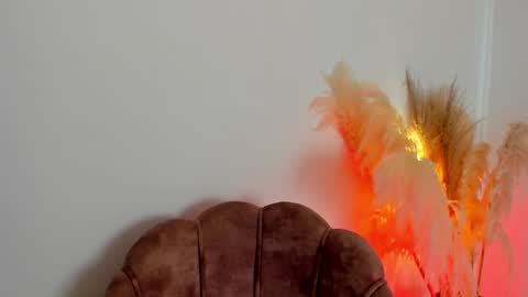 Snapshot of kim_murphy chatting on January 2025 01:19:01 PM Kim Murphy online show from January 2025 01:19:01 PM