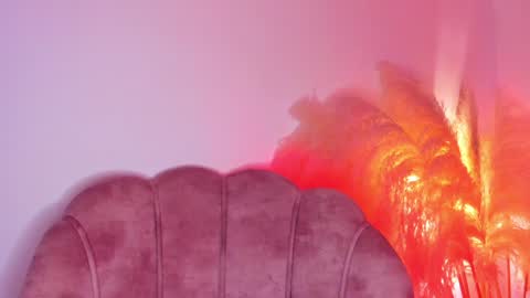 Snapshot of kim_murphy chatting on February 2025 12:24:02 PM Kim Murphy online show from February 2025 12:24:02 PM