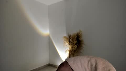 Snapshot of kim_murphy chatting on November 2025 12:31:02 PM Kim Murphy online show from November 2025 12:31:02 PM