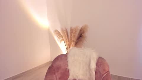 Snapshot of kim_murphy chatting on November 2025 12:15:02 PM Kim Murphy online show from November 2025 12:15:02 PM