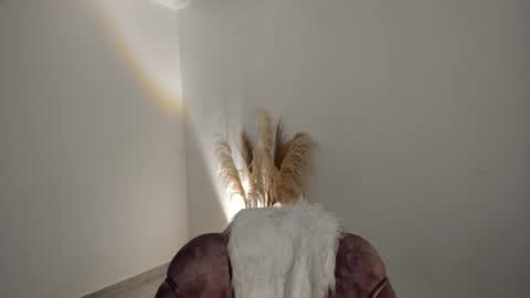 Snapshot of kim_murphy chatting on December 2025 12:14:02 PM Kim Murphy online show from December 2025 12:14:02 PM