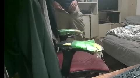 kinchan069 online show from November 2025 07:50:01 AM