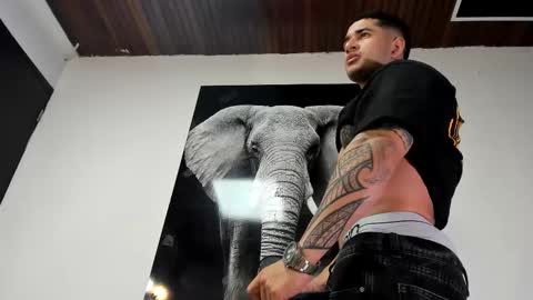 Snapshot of king_falconer chatting on October 2025 01:44:01 AM Angel Falconer online show from October 2025 01:44:01 AM