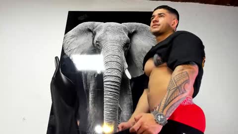 Snapshot of king_falconer chatting on October 2025 02:34:01 AM Angel Falconer online show from October 2025 02:34:01 AM