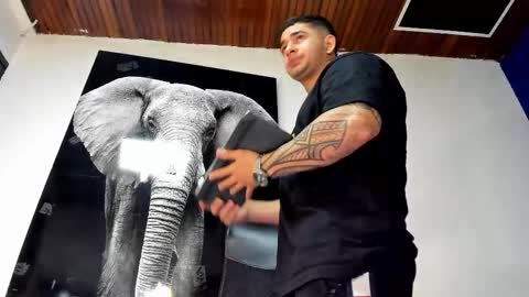 Snapshot of king_falconer chatting on November 2025 12:35:01 AM Angel Falconer online show from November 2025 12:35:01 AM