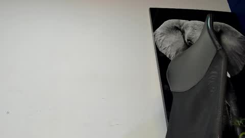 Snapshot of king_falconer chatting on November 2025 02:10:01 AM Angel Falconer online show from November 2025 02:10:01 AM