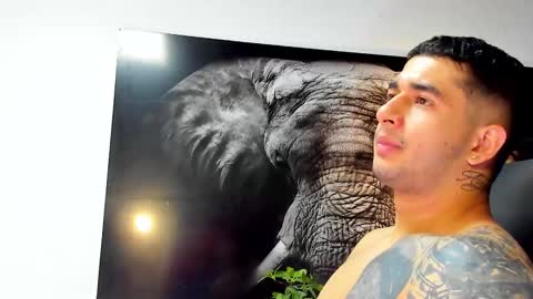 Snapshot of king_falconer chatting on November 2025 03:05:02 AM Angel Falconer online show from November 2025 03:05:02 AM