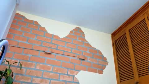 king_meruem online show from February 2026 06:53:02 PM