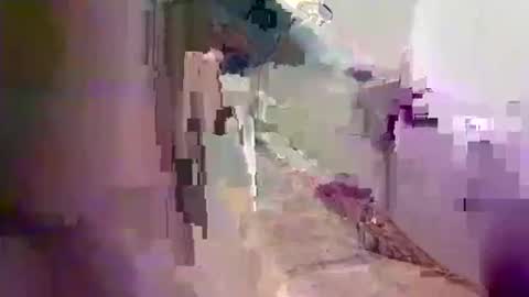 kingdingalingthe online show from October 2025 03:50:02 AM