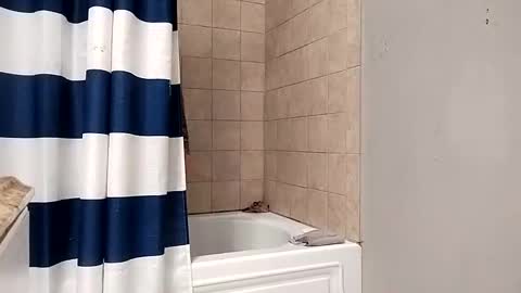 Snapshot of kingdongkonglong chatting on January 2025 05:05:01 AM kingdongkonglong online show from January 2025 05:05:01 AM