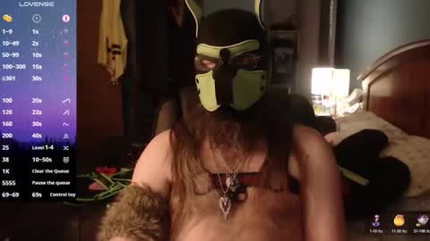 kinkywolf87 online show from April 2026 11:59:02 PM