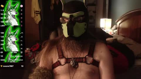 Snapshot of kinkywolf87 chatting on July 2026 04:43:02 AM kinkywolf87 online show from July 2026 04:43:02 AM