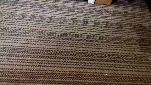 kis4kum online show from April 2026 10:21:02 AM