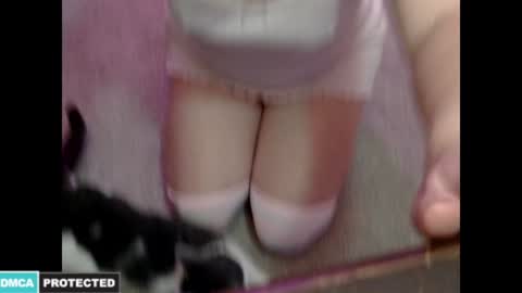 Snapshot of kitten4sale666 chatting on January 2025 02:09:01 AM Kitty online show from January 2025 02:09:01 AM