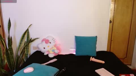 Snapshot of kittycatw chatting on December 2025 09:21:02 PM LAURA help me reach 100likes online show from December 2025 09:21:02 PM