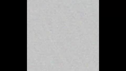 Snapshot of kittykat_1999 chatting on December 2025 06:47:02 PM kittykat 1999 online show from December 2025 06:47:02 PM