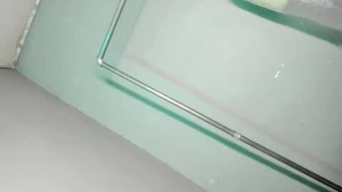 Grace online show from November 2025 09:45:01 AM