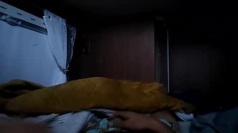 knilbonk online show from October 2025 06:39:01 PM