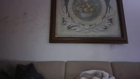 kobolt67 online show from February 2026 03:43:01 PM