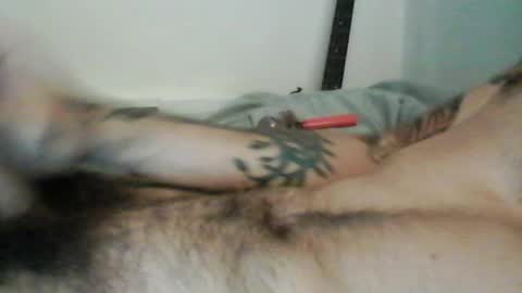 Snapshot of koosemuckle chatting on August 2026 05:42:01 AM koosemuckle online show from August 2026 05:42:01 AM