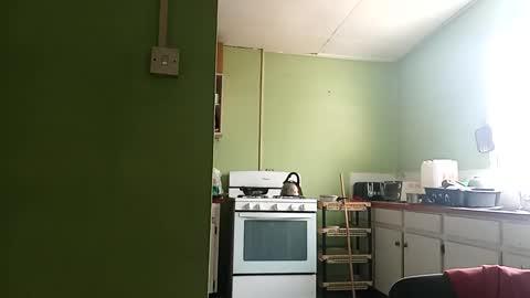 Prince makonnen  online show from March 2025 01:29:01 PM